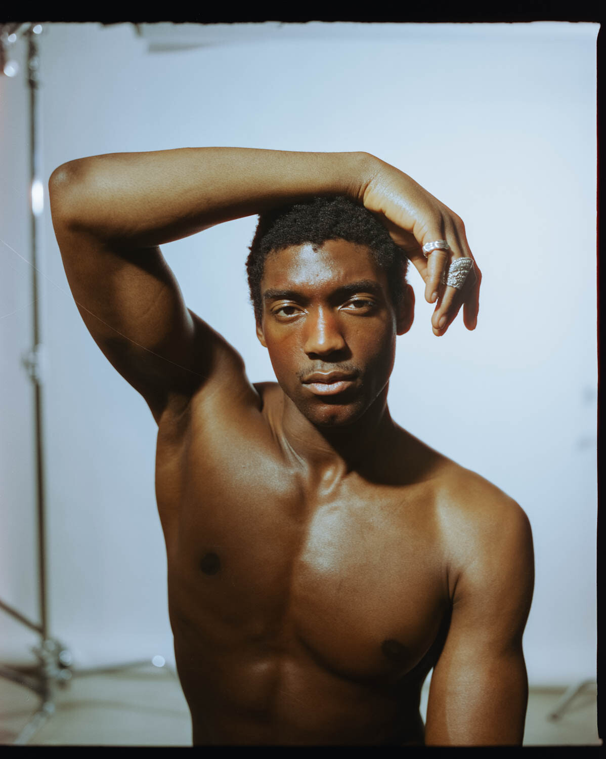Halid | FORTE Model Management