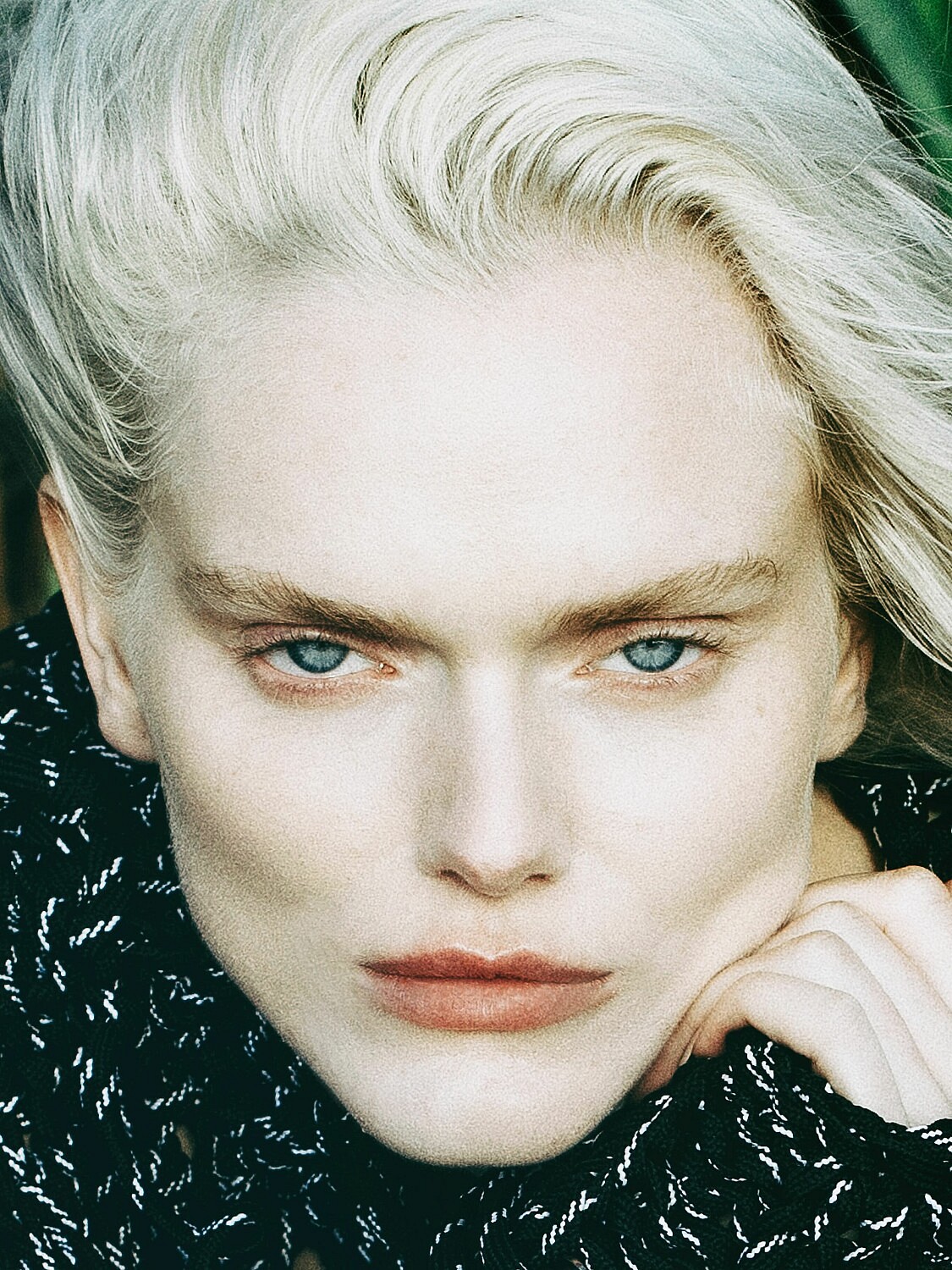 Lily Chapman