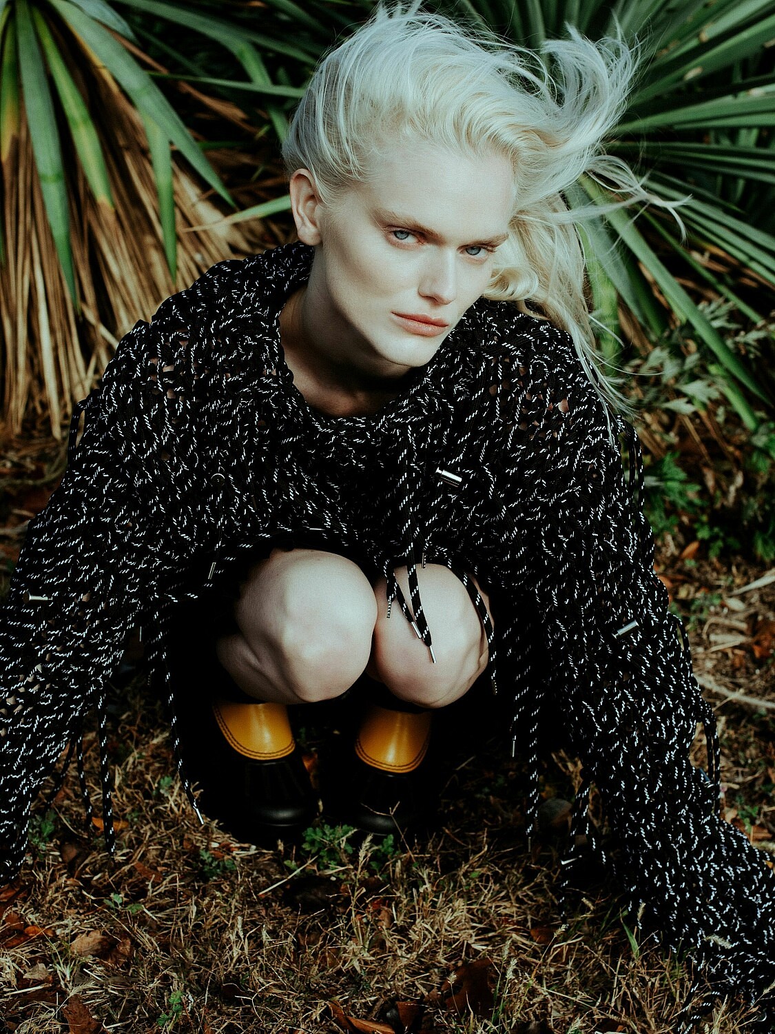 Lily Chapman