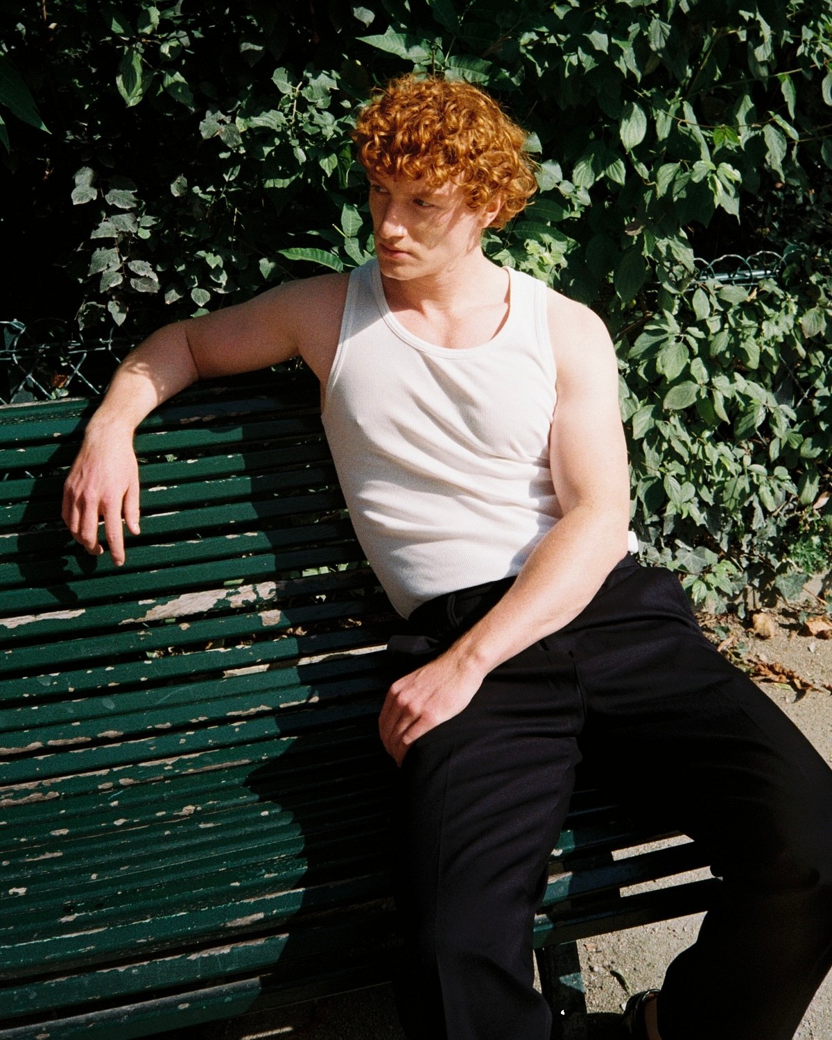 Ben Haupt