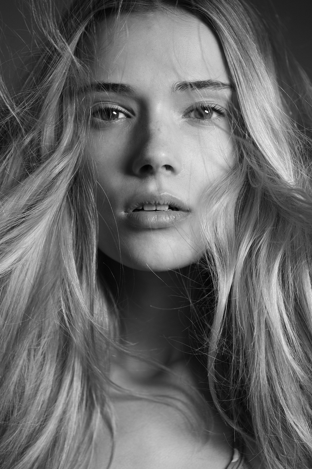 Sara von Schrenk