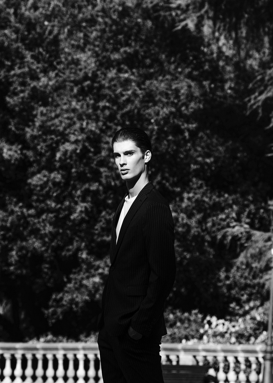 David Vega
