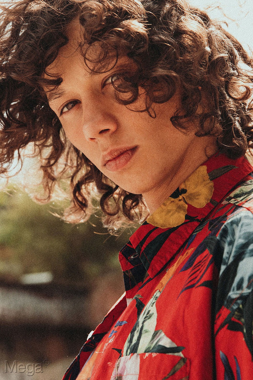 Diogo Guerreiro