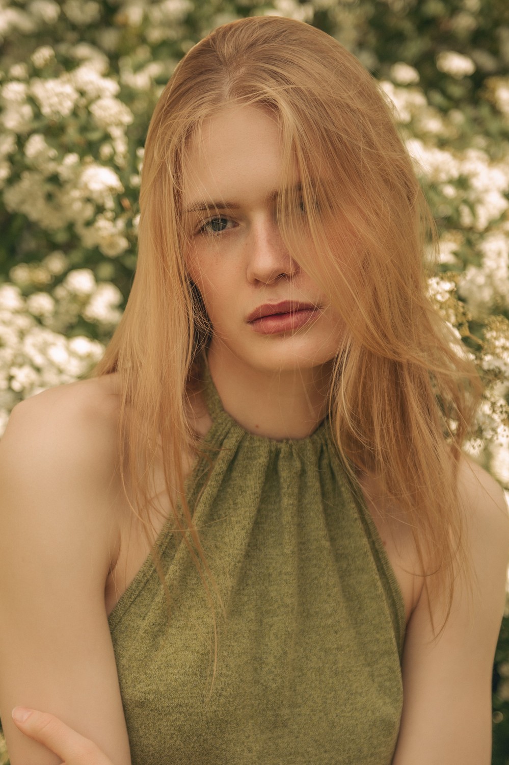 Anni Leistikow
