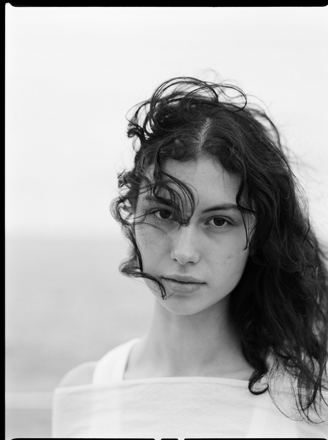 Violeta