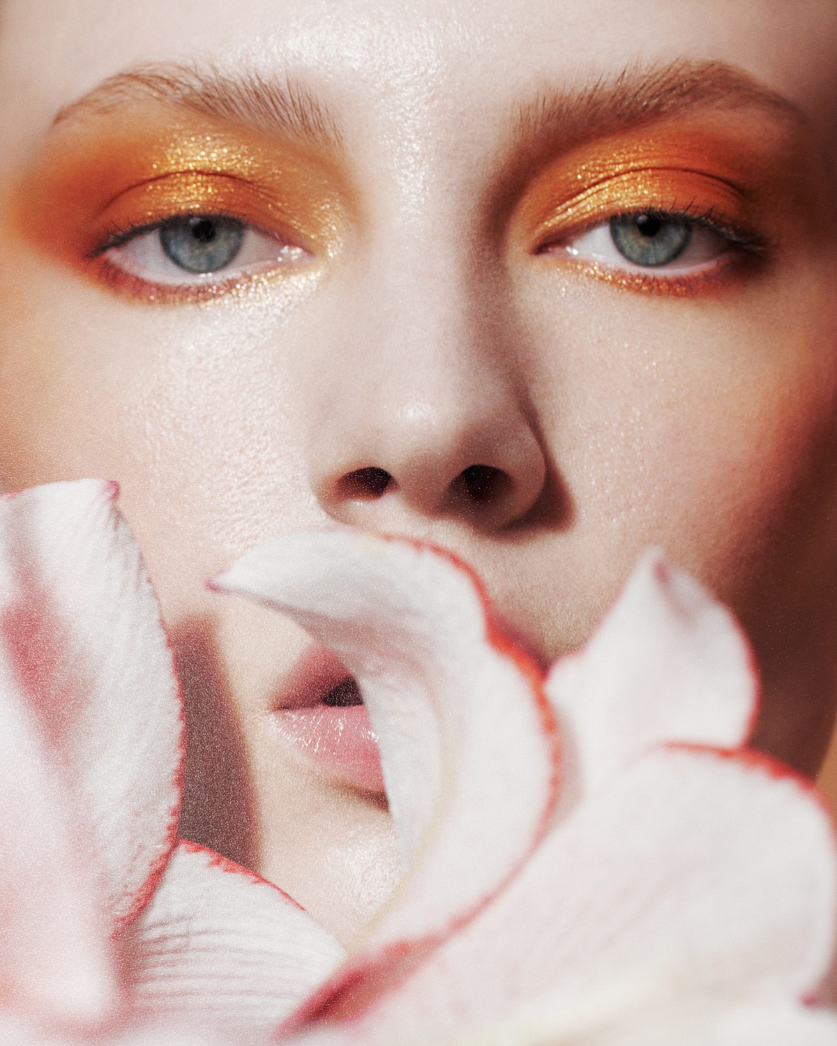 The Milk Collictive | Anneta