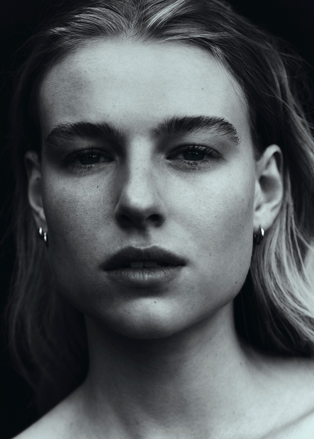 The Milk Collictive | Dana Elmers