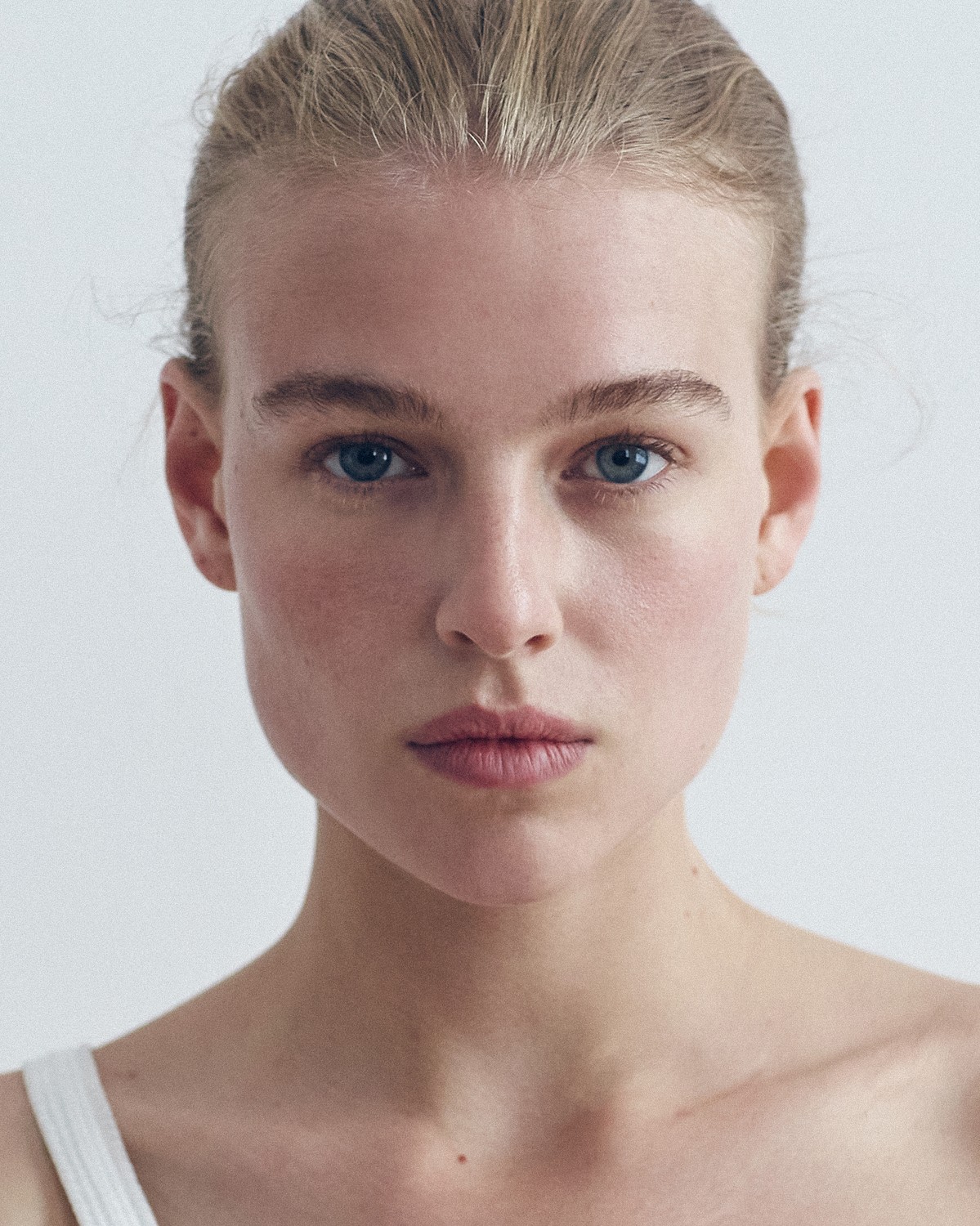 The Milk Collictive | Dana Elmers