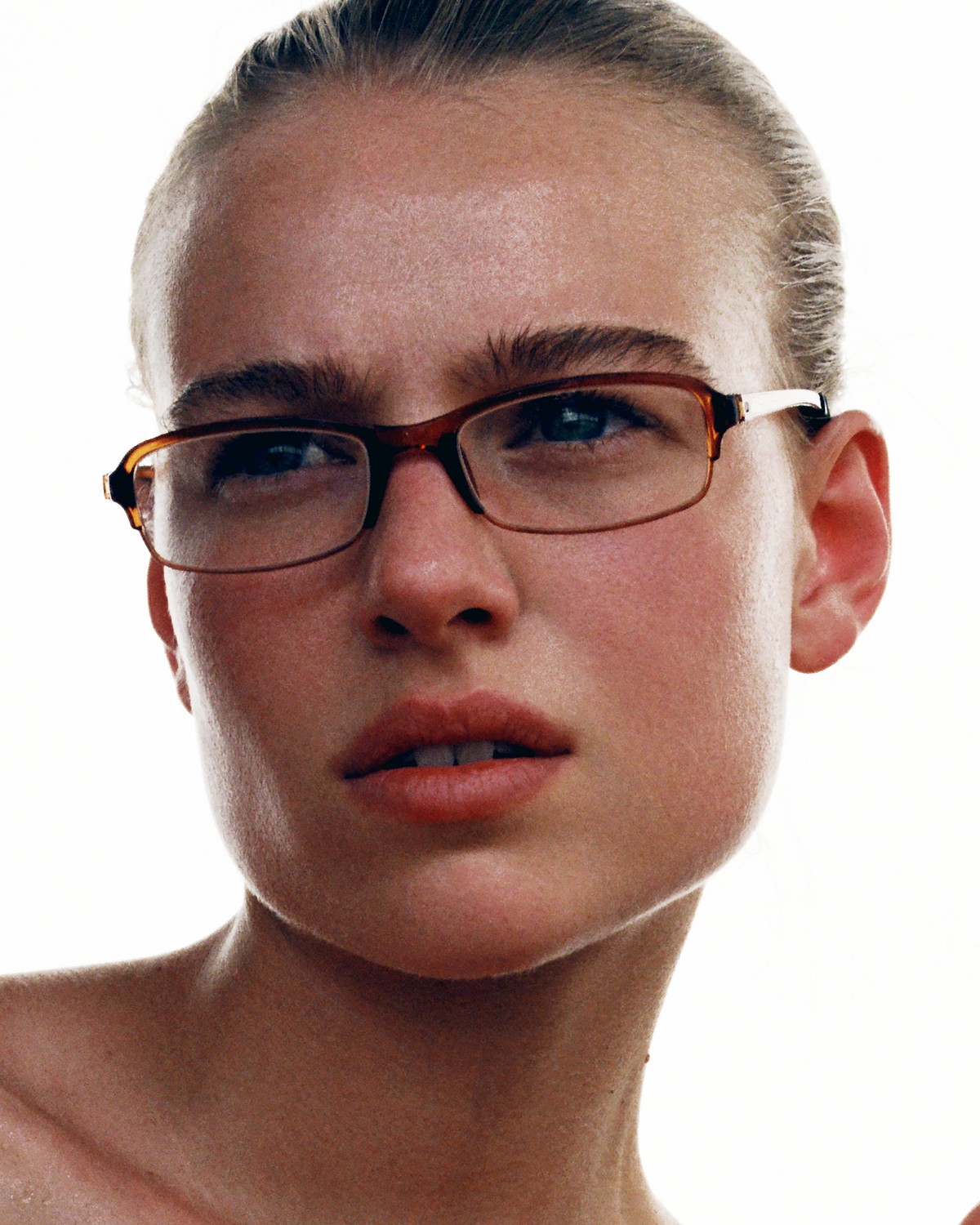 The Milk Collictive | Dana Elmers