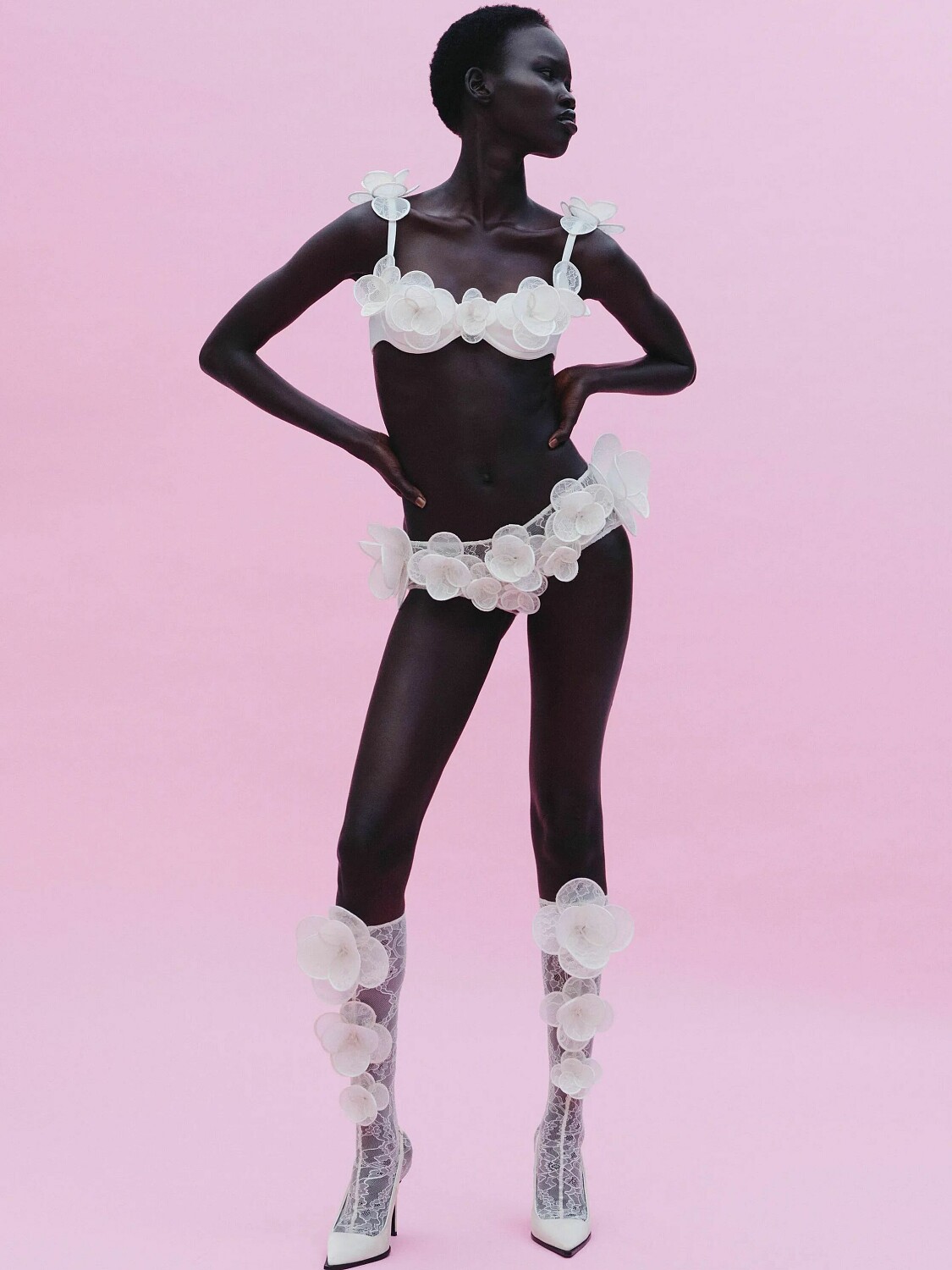 The Milk Collictive | Chudier