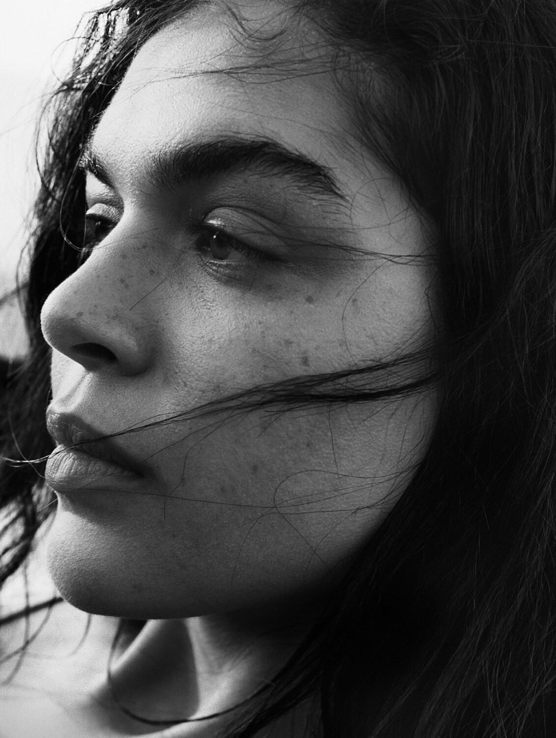 The Milk Collictive | Clara Fossar