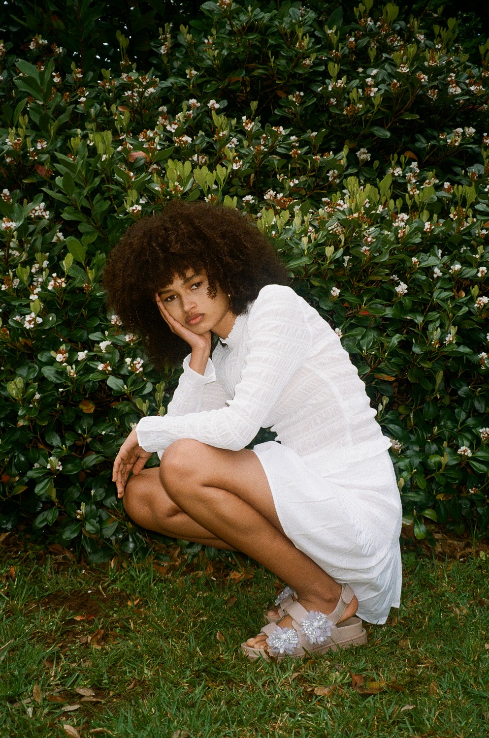 model