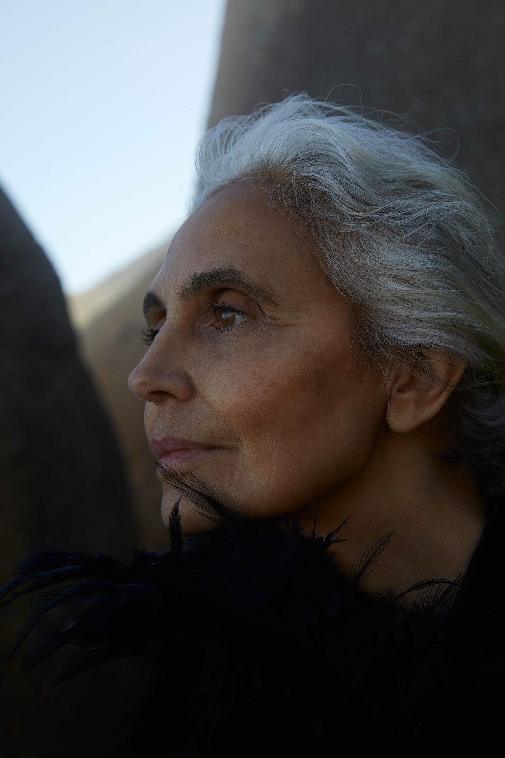 MILVA SPINA