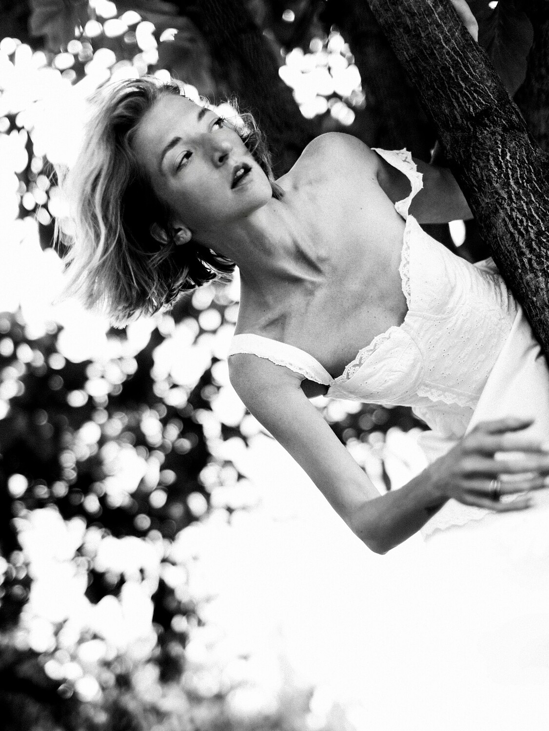 Lara Gessler