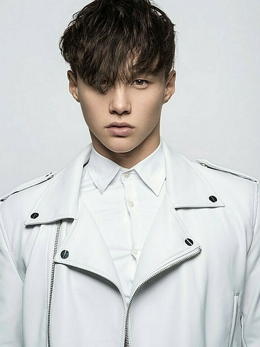 Tristan Defeuillet Vang